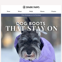 Spark Paws email thumbnail