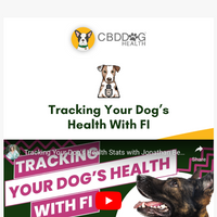 CBD Dog Health email thumbnail