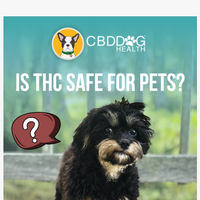 CBD Dog Health email thumbnail