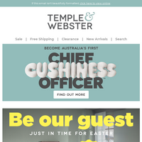 Temple & Webster email thumbnail