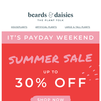 Beards & Daisies email thumbnail