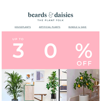 Beards & Daisies email thumbnail