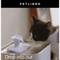 Petlibro email thumbnail