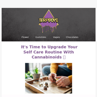 TerpBoys LLC email thumbnail