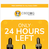 CBD Dog Health email thumbnail