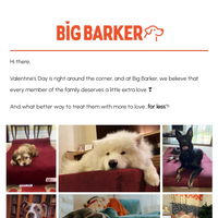 Big Barker email thumbnail