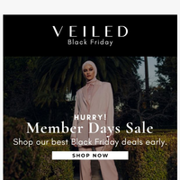 Veiled Collection email thumbnail