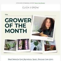 Click & Grow email thumbnail