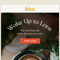 Hive Brands email thumbnail