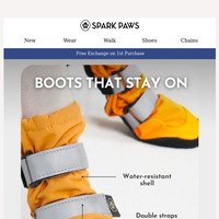 Spark Paws email thumbnail