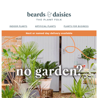 Beards & Daisies email thumbnail