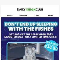 Daily High Club email thumbnail