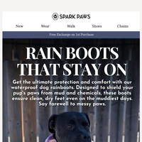 Spark Paws email thumbnail