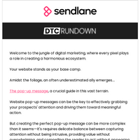 Sendlane email thumbnail