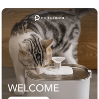 Petlibro email thumbnail