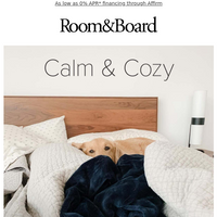 Room & Board email thumbnail