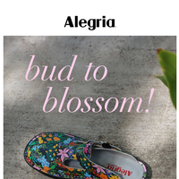 Alegria shoes email thumbnail