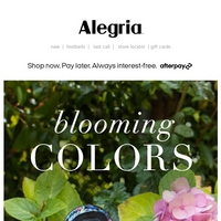 Alegria shoes email thumbnail