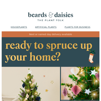 Beards & Daisies email thumbnail