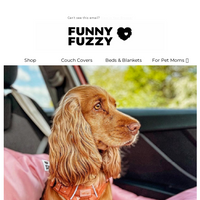 Funny Fuzzy email thumbnail