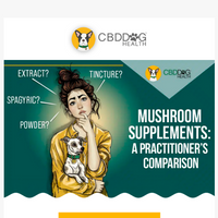 CBD Dog Health email thumbnail