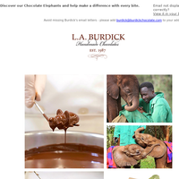 L.A. Burdick Chocolate email thumbnail