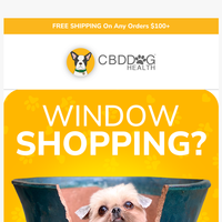 CBD Dog Health email thumbnail