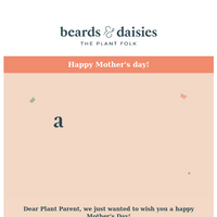 Beards & Daisies email thumbnail