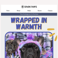 Spark Paws email thumbnail