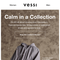 Vessi email thumbnail