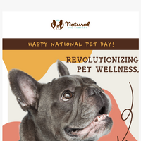 Natural Dog Company  email thumbnail