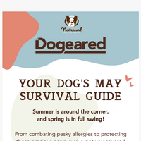 Natural Dog Company  email thumbnail