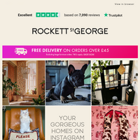 Rockett St George email thumbnail