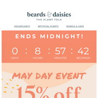 Beards & Daisies email thumbnail