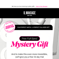 IL MAKIAGE email thumbnail